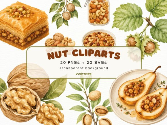 Download Nut Watercolor Cliparts, Botanical PNG - Premium Resources