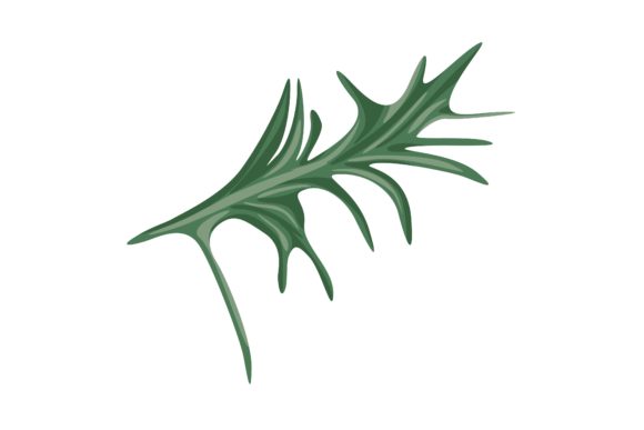 Download Rosemary Leaves Illustration Vector - Illustration Collection