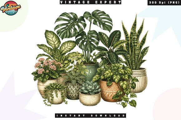 Download Indoor Plant Lover Botanical PNG - Love Collection